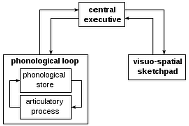 Working Memory A Teacher s Guide Working Memory A Teacher s Guide